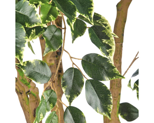Detail van een kunstmatige Ficus Benjamina met bontgekleurde bladeren en realistisch ogende stammen.