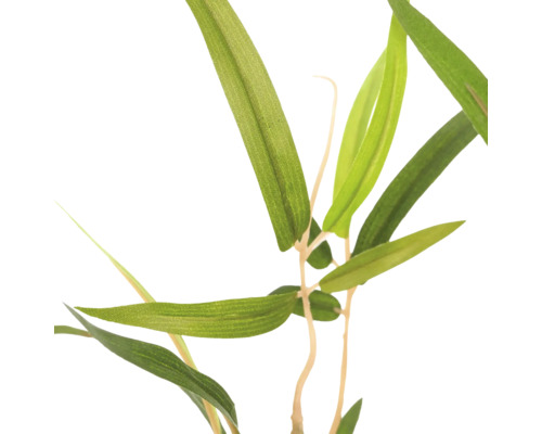 Kunstmatige bamboetak met smalle groene bladeren.