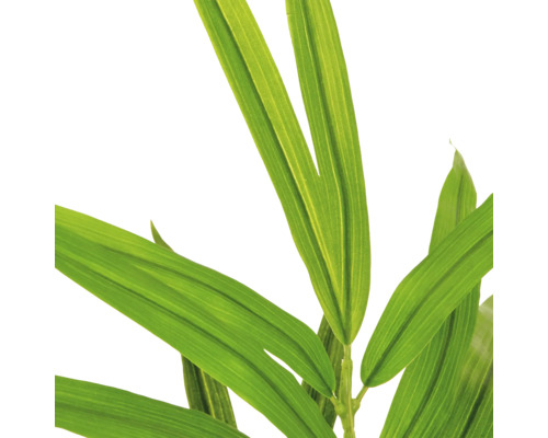 Detailweergave van kunstbamboe bladeren, groene langwerpige bladeren van een kunstplant met bladnerven.