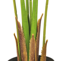 Detailopname van een kunstmatige Cycaspalm met stengels en bladvoeten in een zwarte pot.