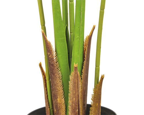 Detailopname van een kunstmatige Cycaspalm met stengels en bladvoeten in een zwarte pot.