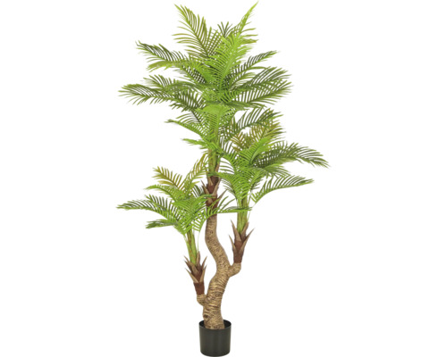 Kunstmatige Cycaspalm met drie stammen in een zwarte kunststof pot.