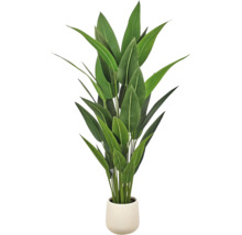 Kunstmatige kamerplant Strelitzia met groene bladeren in witte pot.