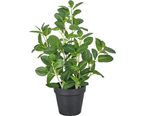 Kunstplant in zwarte kunststof pot.