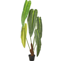 Kunstplant voor binnen met grote, geribbelde groene bladeren in een zwarte pot met mosstok.