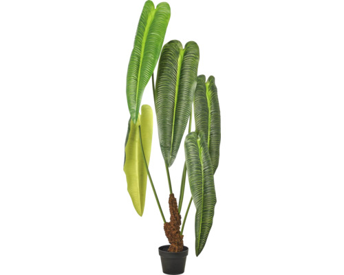 Kunstplant voor binnen met grote, geribbelde groene bladeren in een zwarte pot met mosstok.