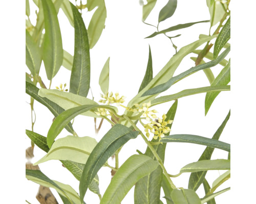 Close-up van een kunstmatige eucalyptustak met lange groene bladeren en kleine gele bloemtrossen.
