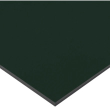 Compactplaat met groen oppervlak en donkere kern.