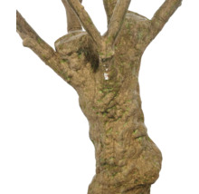 Kunstmatige boomstam met gestructureerde schors en takken voor terrariums of aquariums.
