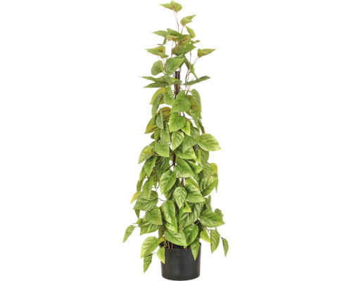 Kunstmatige Scindapsus in zwarte pot met mospaal, natuurgetrouwe kunstplant met hartvormige bladeren.