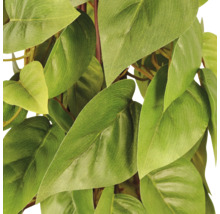 Detailweergave van de groene bladeren van een kunstplant, zoals Philodendron of Epipremnum.