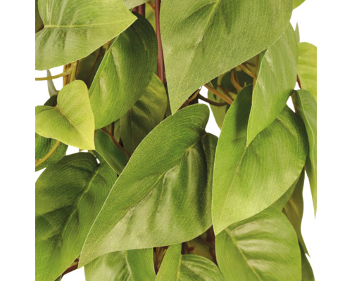 Detailweergave van de groene bladeren van een kunstplant, zoals Philodendron of Epipremnum.