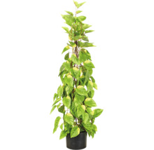 Kunstplant drakenklimop Epipremnum aureum in zwarte pot met klimsteun en gevlekte bladeren.