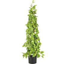 Kunstmatige Epipremnum aureum aan stok in zwarte kunststof pot met hartvormige, groen-geel gevlekte bladeren.