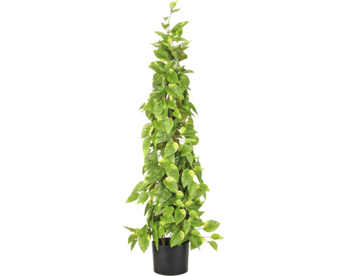 Kunstmatige Epipremnum aureum aan stok in zwarte kunststof pot met hartvormige, groen-geel gevlekte bladeren.