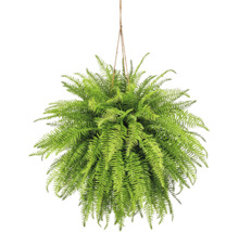 Kunsthangplant varen met dichte groene bladeren en jutetouw.