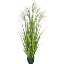 Kunstmatig siergras met lichte pluimen in zwarte pot.
