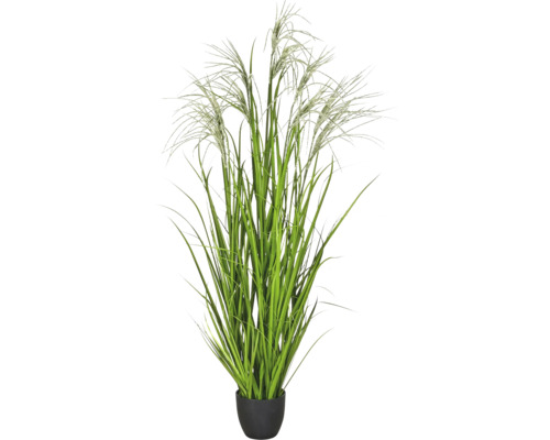 Kunstmatig siergras met lichte pluimen in zwarte pot.