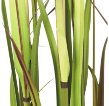Detailopname van de sprieten van een kunstmatig siergras voor de binnendecoratie.