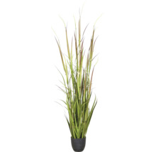 Kunstgrasplant in zwarte pot, veelkleurige sprieten, decoratie voor binnen.