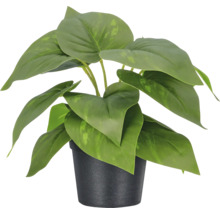 Kunstplant met grote bladeren in zwarte kunststof pot.
