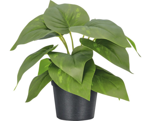 Kunstplant met grote bladeren in zwarte kunststof pot.