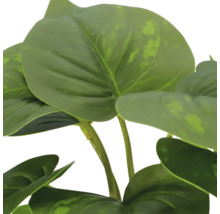 Detailopname van een kunstplant met grote, hartvormige groene bladeren en stelen.