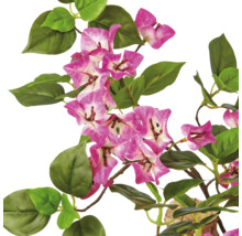 Kunstmatige Bougainvillea met roze-witte bloemen en groene bladeren.