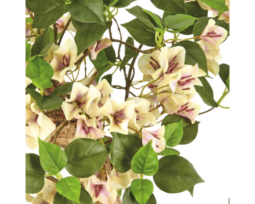 Kunstmatige Bougainvillea met crèmekleurige bloemen en groene bladeren.