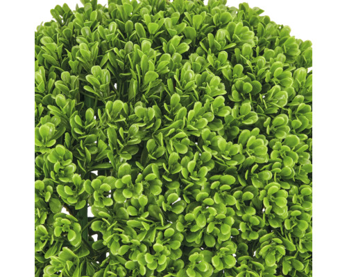 Detailopname van een groene kunstmatige buxus met dichte bladeren van kunststof.