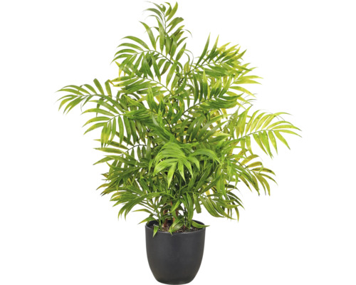 Kunstmatige bergpalm met groene bladeren in een zwarte pot.