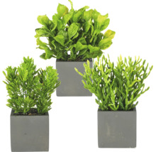 Set van drie verschillende kunstmatige groene planten in grijze, vierkante potten voor interieurdecoratie.
