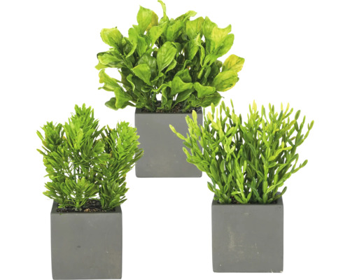 Set van drie verschillende kunstmatige groene planten in grijze, vierkante potten voor interieurdecoratie.