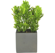 Kunstplant in een vierkante grijze pot.