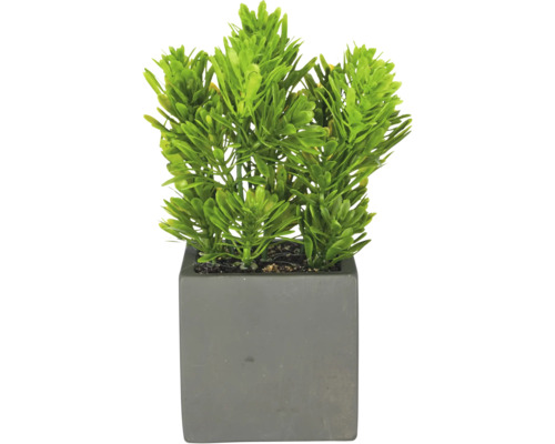 Kunstplant in een vierkante grijze pot.