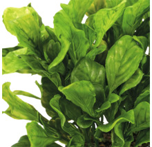 Kunstplant van kunststof met dicht groen gebladerte in basilicumlook.