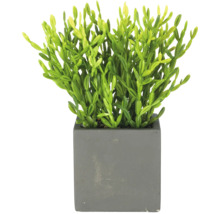Kunstplant met fijne groene stengels in een vierkante grijze bloempot met betonlook.