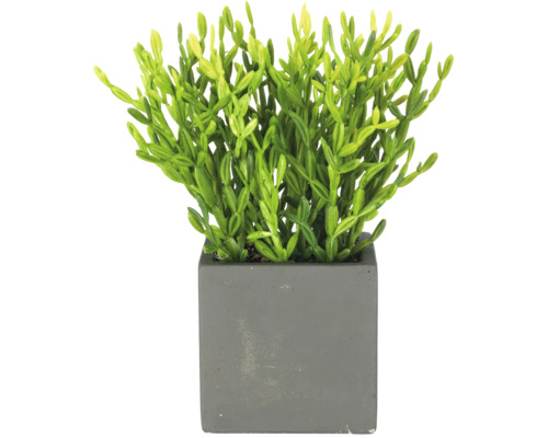 Kunstplant met fijne groene stengels in een vierkante grijze bloempot met betonlook.