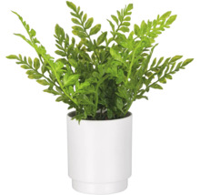 Kunstplant in een witte pot met een getrapte voet.