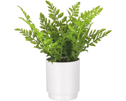 Kunstplant in een witte pot met een getrapte voet.