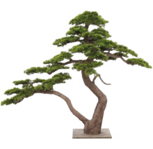 Kunstbonsai in Japanse dennenstijl met een gebogen stam op een vierkante voet.