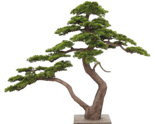 Kunstbonsai in Japanse dennenstijl met een gebogen stam op een vierkante voet.