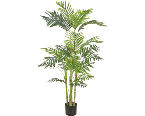 Kunstpalm met meerdere stammen en groene varenbladeren in een eenvoudige zwarte pot.