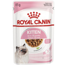 Royal Canin Logo, Royal Canin Kitten natvoer, brokjes in saus, 85 gram, voor kittens tot 12 maanden, zonder conserveermiddelen.