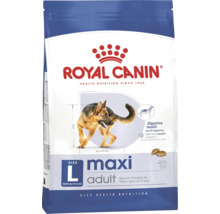 Royal Canin Maxi Adult hondenvoer voor grote honden van 26 tot 44 kilogram, ouder dan 15 maanden, ondersteunt de spijsvertering.