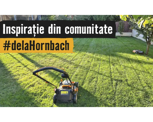 Gezond gazon met een grasmaaier en een robotmaaier. Tekst Inspiratie uit de community hashtag van Hornbach.