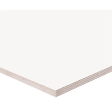 Multiplex plaat met witte filmcoating, detailweergave van de rand met zichtbare houtlagen.