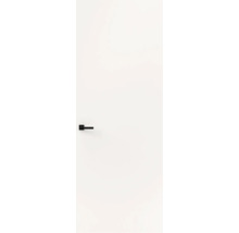 Witte binnendeur met zwarte deurklink.
