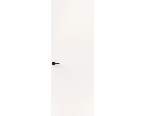 Witte binnendeur met zwarte deurklink.