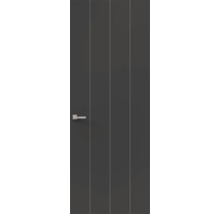 Binnendeur in donkergrijs met vier verticale lijnen en een zilverkleurige deurkruk.